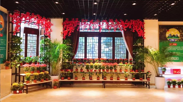 1553151874106798.jpg 2.jpg