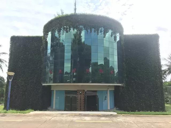 1553152034106213.jpg 7.jpg