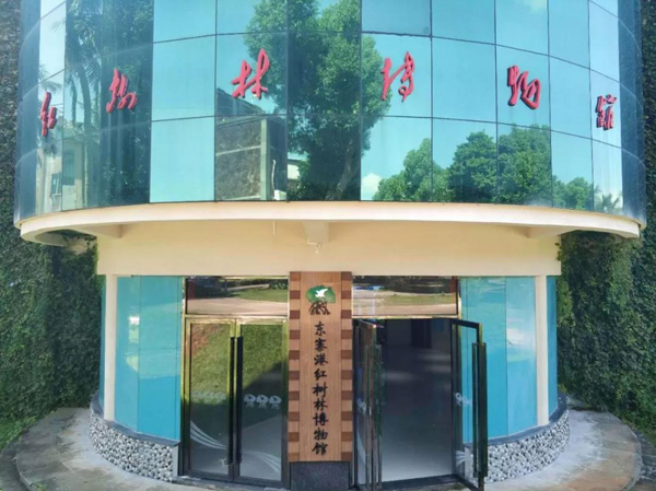 1553152047123298.jpg 8.jpg