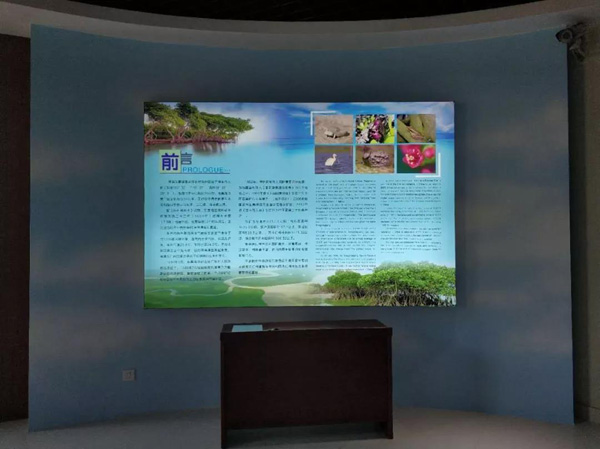 1553152064122345.jpg 10.jpg