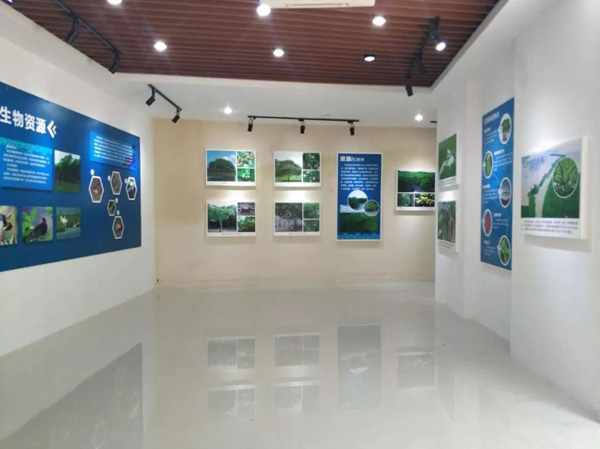 1553152076952644.jpg 11.jpg