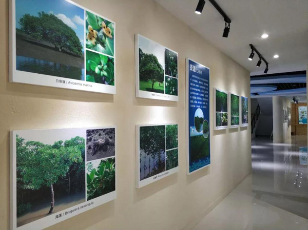 1553152083365972.jpg 12.jpg