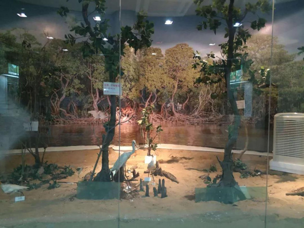 1553152090980493.jpg 13.jpg