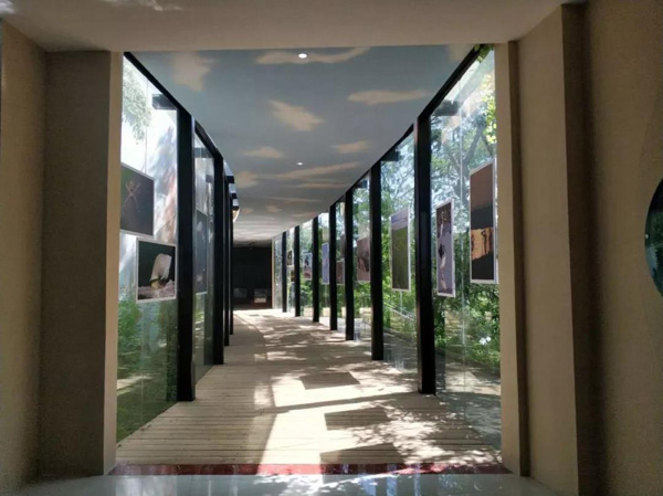 1553152096781627.jpg 14.jpg