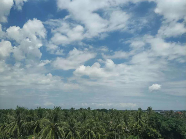 1553152428139760.jpg 32.jpg