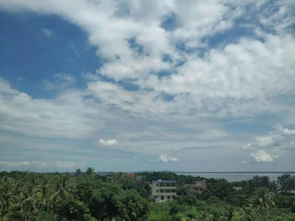 1553152440432237.jpg 33.jpg