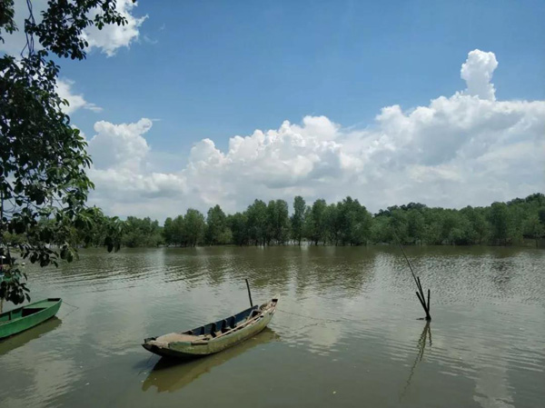 1553152450849548.jpg 34.jpg