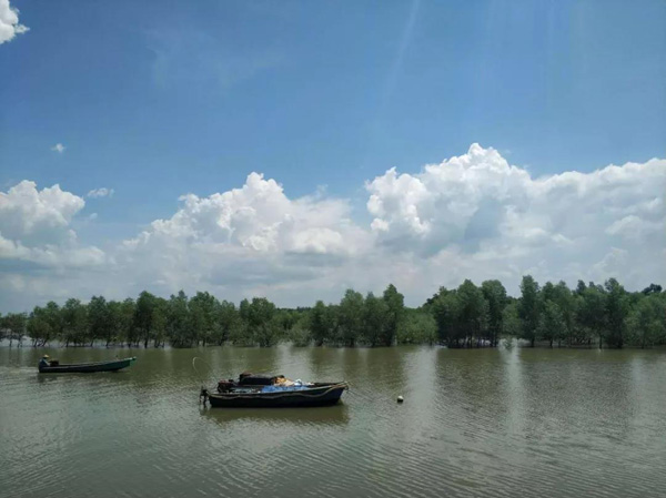 1553152459111805.jpg 35.jpg