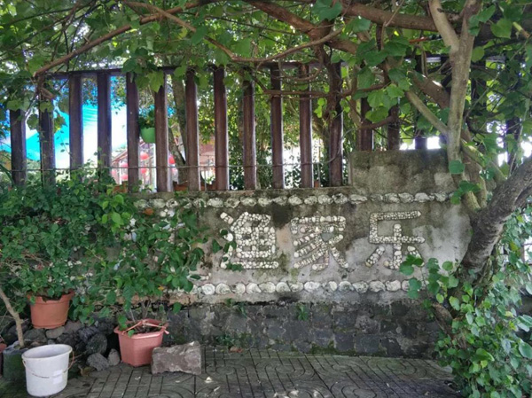 1553152492139090.jpg 36.jpg