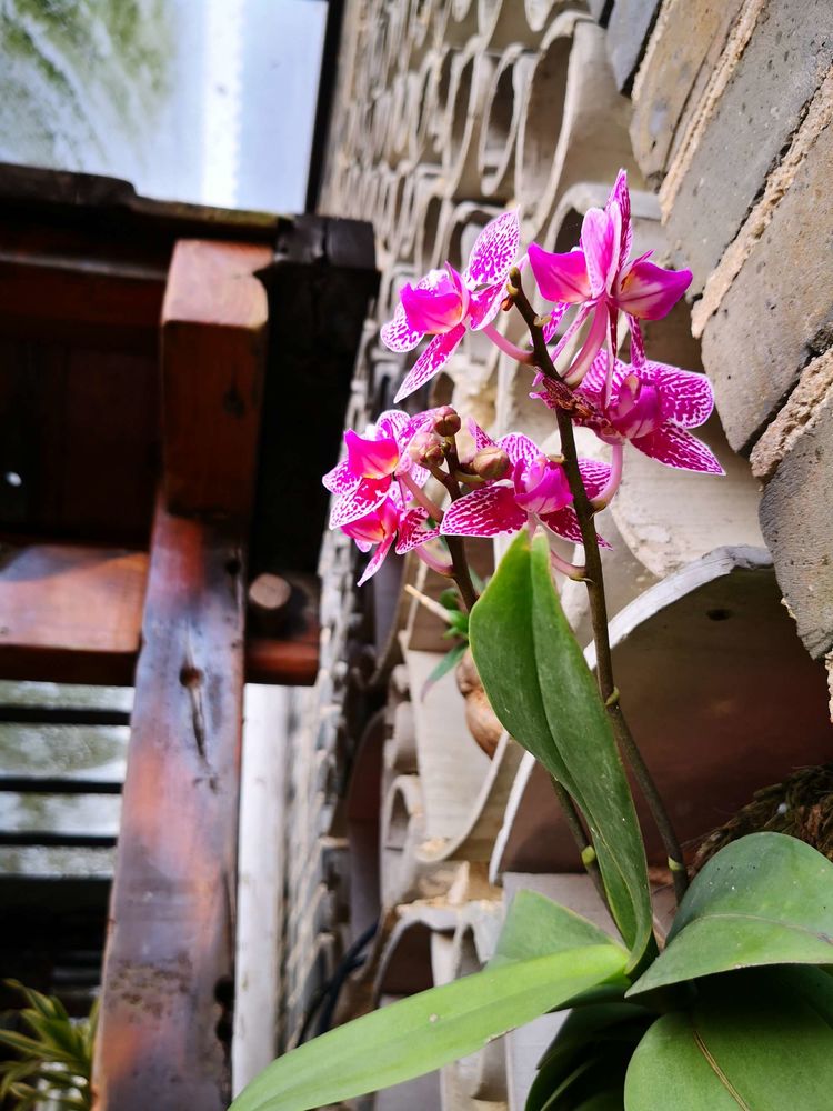 1553669205709644.jpg 8.jpg