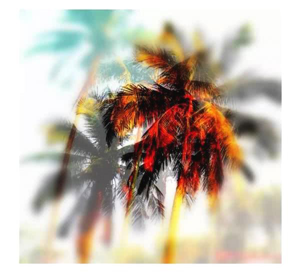 1556265714104062.jpg 20190226014344_2a745b4e11693b1880d41a8bb977ae32_3.jpg