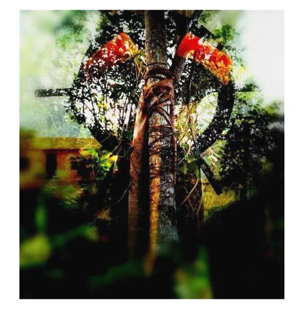 1556265722120886.jpg 20190226014344_2a745b4e11693b1880d41a8bb977ae32_4.jpg