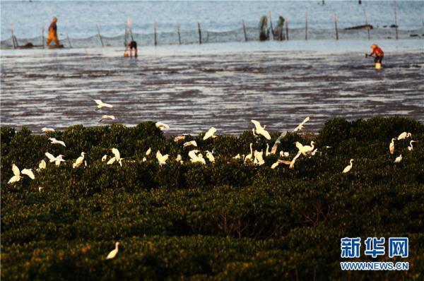 1557992485976721.jpg 1.jpg