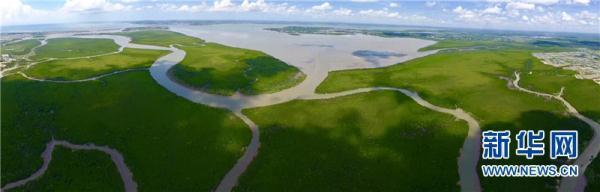 1557992527126975.jpg 2.jpg