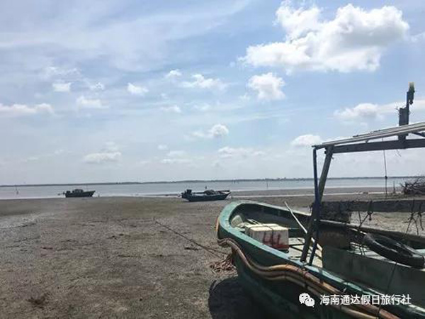 1559810380217439.jpg 1.jpg