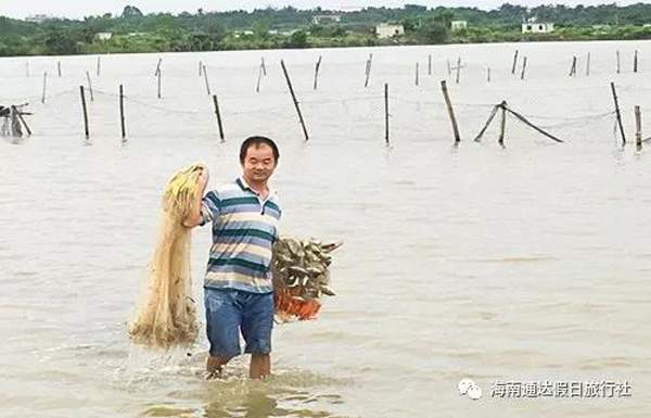 1559810400430317.jpg 2.jpg