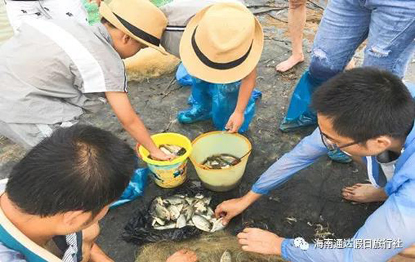 1559810451712175.jpg 4.jpg