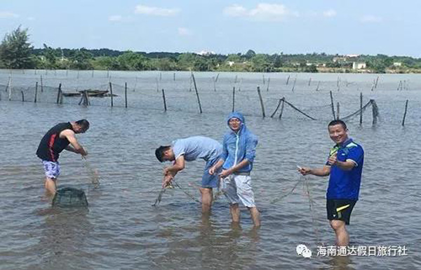 1559810468207843.jpg 5.jpg