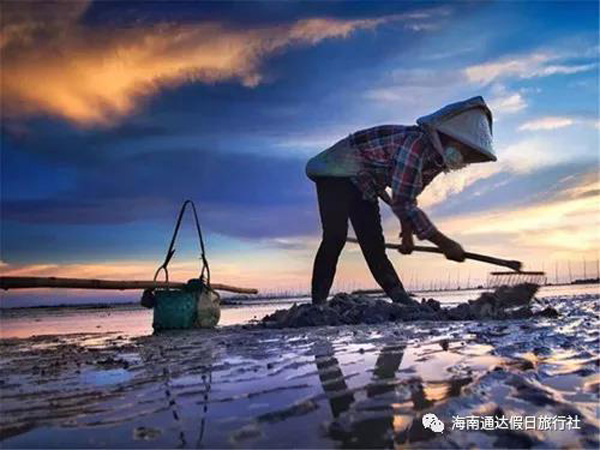 1559810498117429.jpg 6.jpg