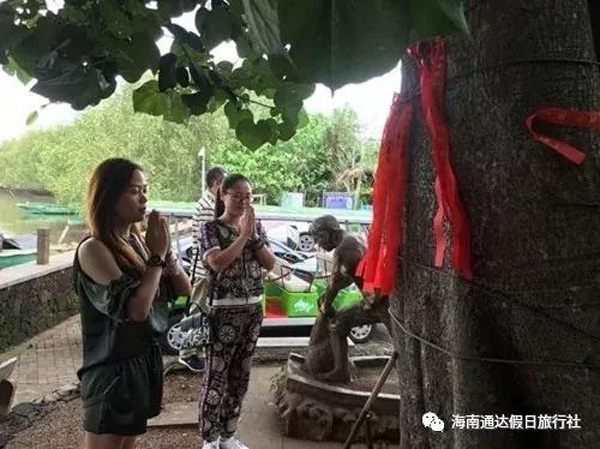 1559811165124564.jpg 17.jpg