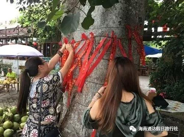 1559811175105380.jpg 18.jpg