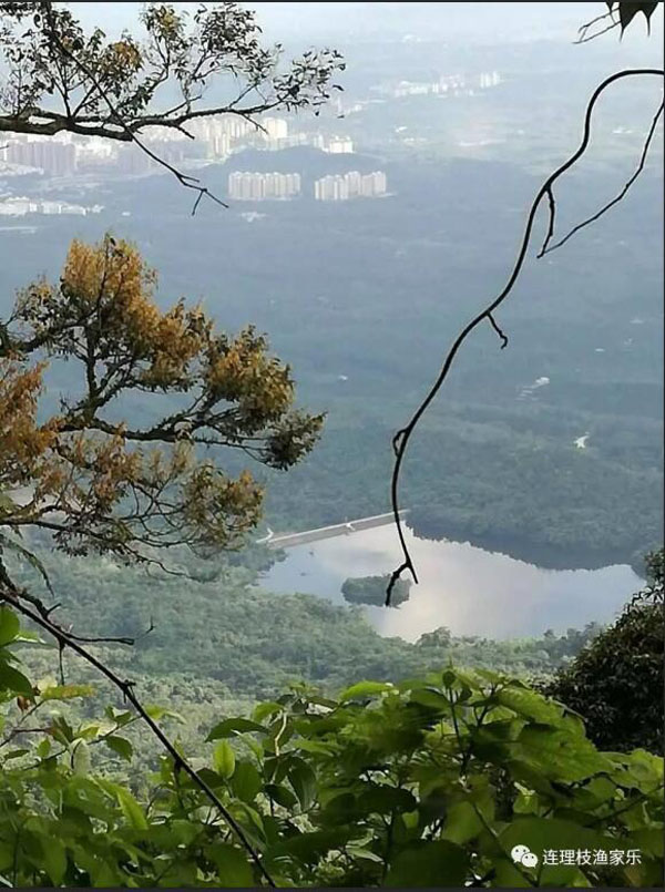 1560497329100238.jpg 8.jpg