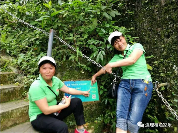 1560497383142220.jpg 9.jpg