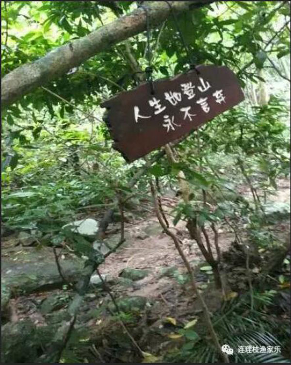 1560497623580240.jpg 16.jpg