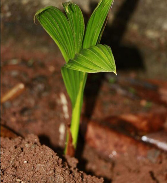 1562139922337928.jpg 7.jpg