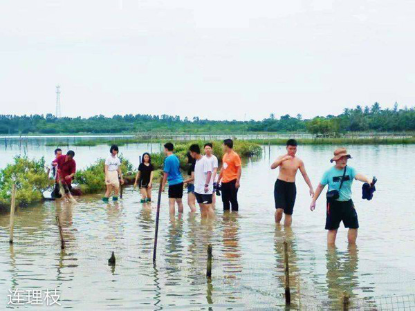 1562221808116534.jpg 6.jpg