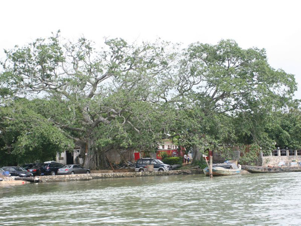 1563160926135769.jpg 3.jpg