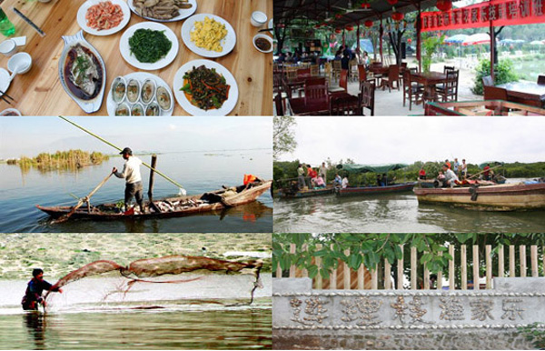 1563160974115991.jpg 5.jpg