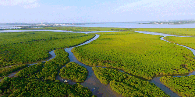 1569395378127531.gif 14.gif