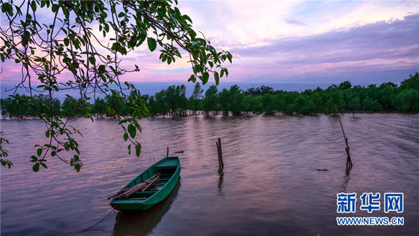 1571629405536891.jpg 7.jpg