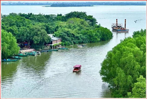 1764122386597115.jpg 15.jpg