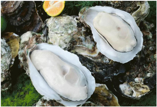 1764574020868469.jpg 18.jpg