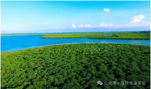 1764574133758633.jpg 16.jpg